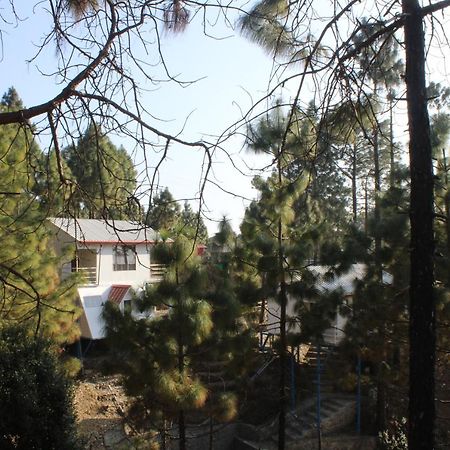 Ghughuti Resort Lansdowne Лансдаун Экстерьер фото